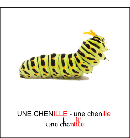 chenille